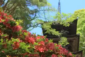 国宝 大法寺の御朱印 2026年05月01日(金)〜(2026年04月30日(木) 11時04分25秒投稿)