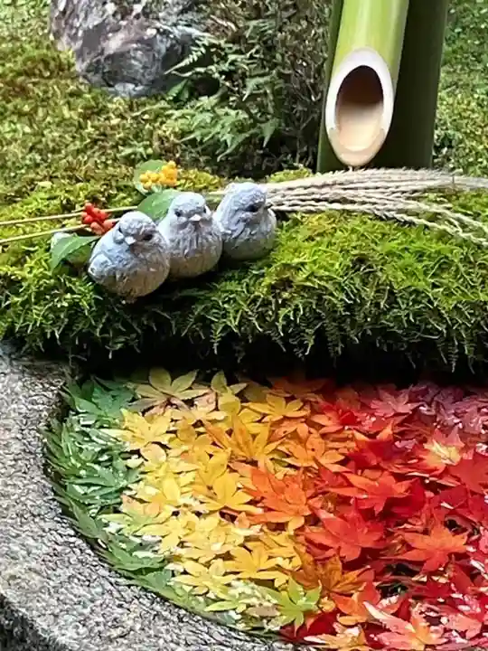 柳谷観音 楊谷寺(京都府)