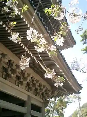 光明寺のその他建物