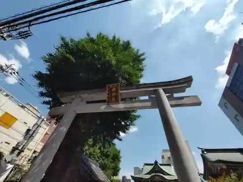 柏神社の鳥居