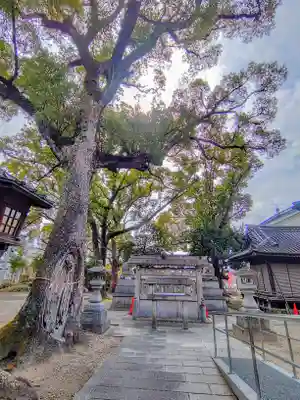 六所社(金城町)の自然