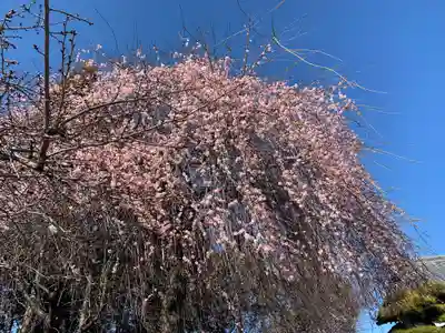 百品神社(群馬県)