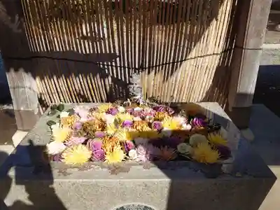 長良神社の手水舎