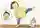 ゆうこさん