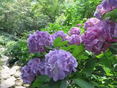 矢田寺(奈良県)