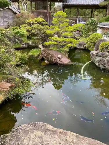 延光寺(高知県)