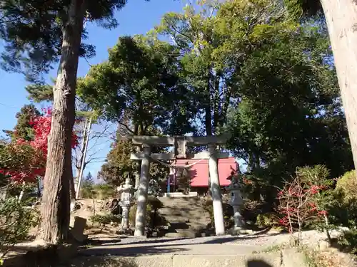 隠津島神社の鳥居