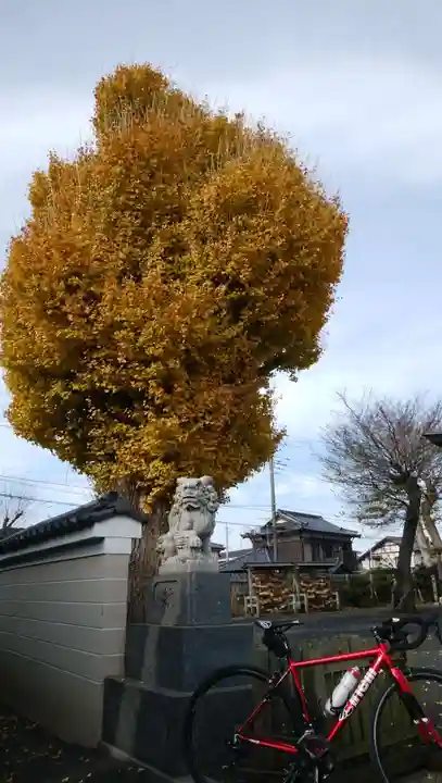 子守神社の自然
