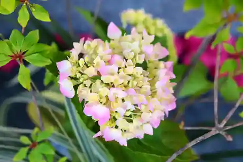 三津厳島神社の自然