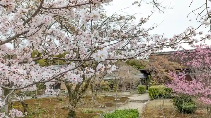 勧修寺(京都府)