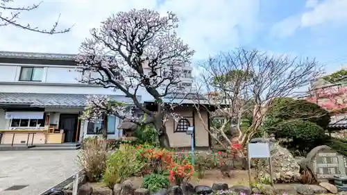 感通寺のその他建物