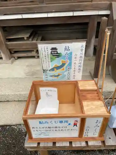 針綱神社のおみくじ