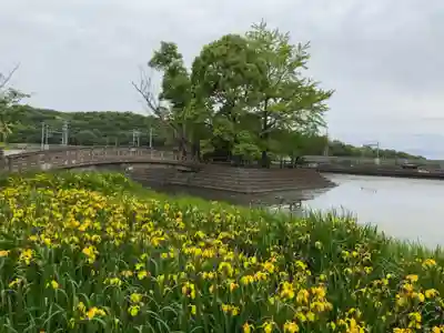 厳島神社の周辺