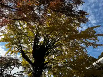 尊永寺(静岡県)