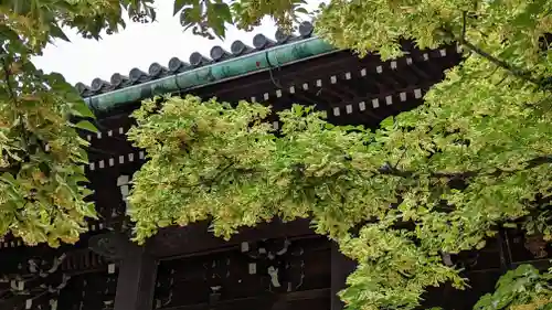 真正極楽寺（真如堂）(京都府)