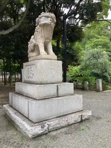 平塚八幡宮の狛犬