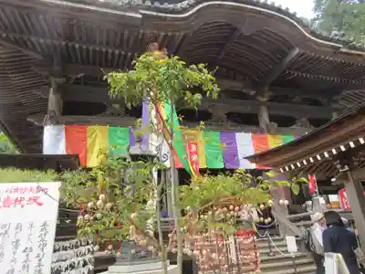 岡寺（龍蓋寺）の本殿・本堂