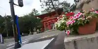 今宮神社(京都府)