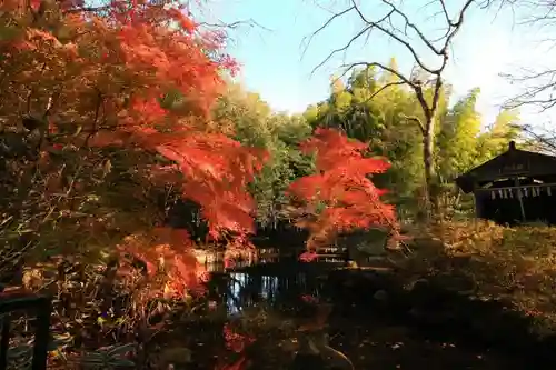 青葉神社の自然