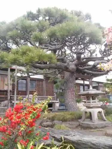 九品寺の庭園