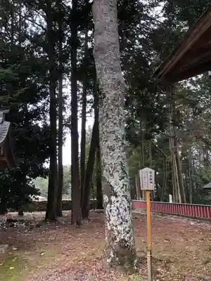 日吉大社(滋賀県)