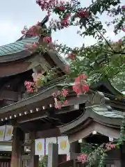 白鷺神社(栃木県)