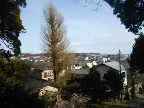 甘縄神明神社（甘縄神明宮）の景色