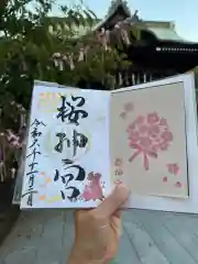 桜神宮の御朱印