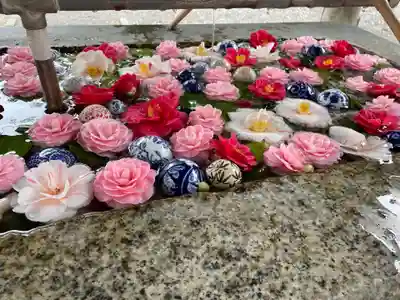 函館八幡宮の手水舎