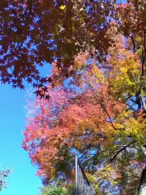 妙法寺(福井県)