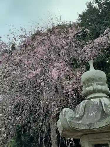 伏木香取神社の自然