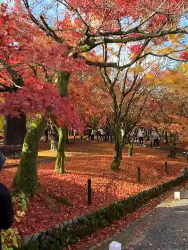 東福禅寺（東福寺）(京都府)