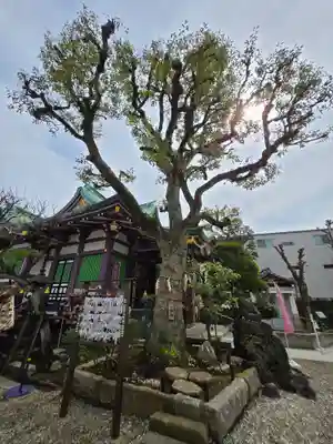 高木神社(東京都)