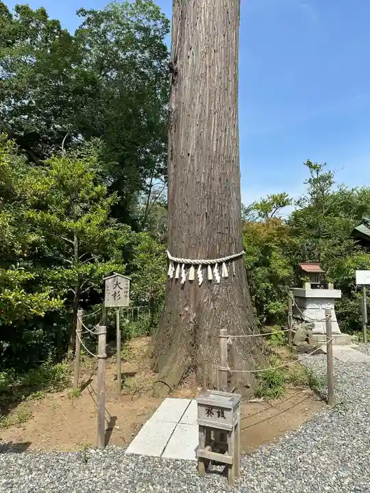 鶴峯八幡宮(千葉県)