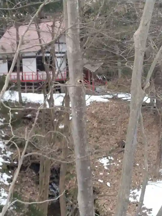 出雲神社(宮城県)