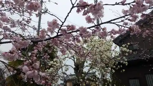 蓮経寺(滋賀県)