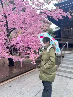 桜神宮(東京都)