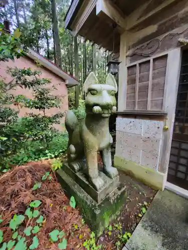 安住神社の狛犬