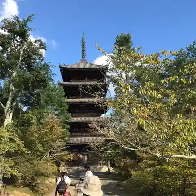 仁和寺の塔