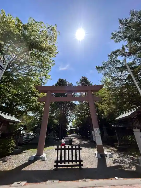 琴似神社の鳥居