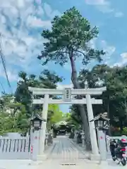 菊田神社の鳥居