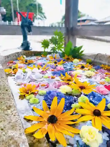 金井神社の手水舎
