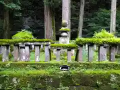 輪王寺 開山堂 観音堂の自然