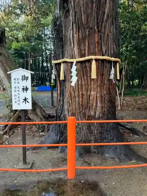 息栖神社(茨城県)