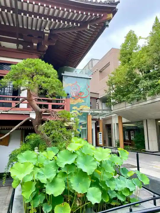 東光寺(埼玉県)