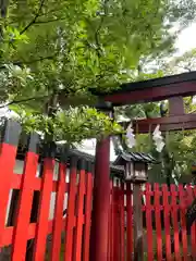 白山神社(新潟県)