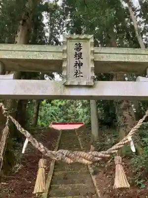 山田箒根神社の鳥居