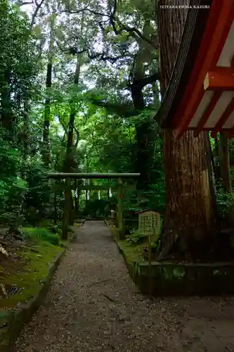 鹿島神宮(茨城県)