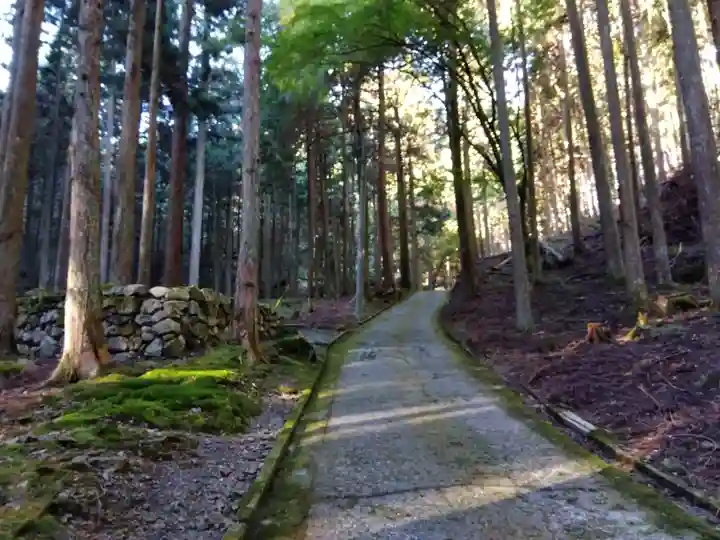 古知谷阿弥陀寺(京都府)