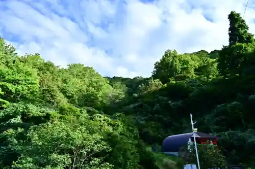 高龍神社(新潟県)